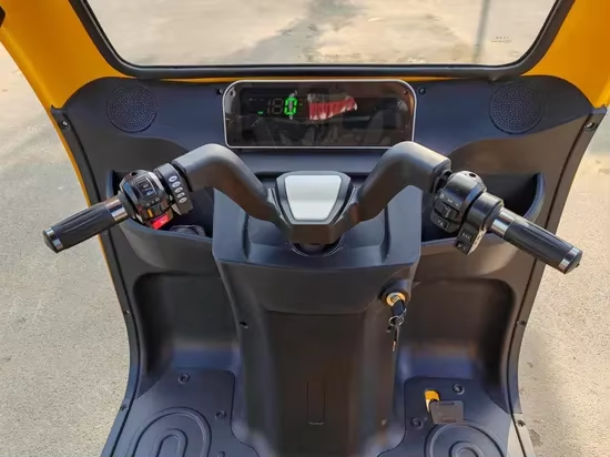 Electric Sturdy Passenger Tricycle